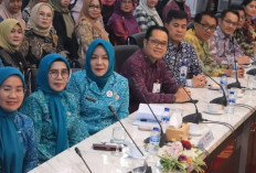Pemberdayaan Keluarga, Ketua TP PKK Prabumulih Hadiri Rakor Strategis Se-Sumatera Selatan