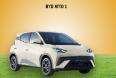 City Car Listrik Terlaris! BYD Atto 1 Catat Kenaikan Penjualan 700%