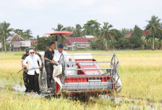 Wamentan Desak Tengkulak Tak Memanfaatkan Petani, Harga Gabah Sumsel Terendah di Indonesia