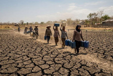 Pemprov Sumsel Tetapkan Status Siaga Karhutla, Antisipasi Kemarau Ekstrem 2026