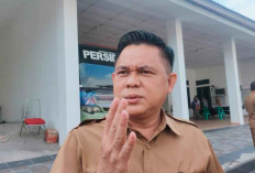 PPPK Lulus Optimalisasi Berharap Segera Dilantik 