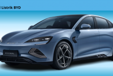 BYD Geser Tesla dari Takhta Raja Mobil Listrik Dunia 2025