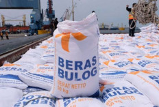 Jaga Stabilitas Harga, Bulog OKU Serap Hasil Panen Petani Tiga Kabupaten