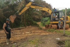 Diduga Bermodal Preman dan Excavator, 112 Hektare Kebun Sawit Rakyat Diserobot