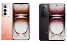 Oppo Reno12 5G Makin Terjangkau, Ini Alasan Smartphone Ini Layak Dibeli