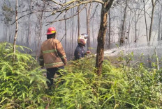 Penanganan Karhutla, BPBD Prabumulih Siapkan 3 Posko 