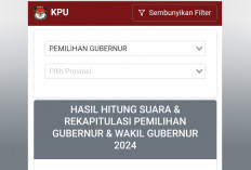 Pilkada Sumsel 2024: Cek Hasil Quick Count secara Langsung di Sini!