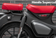 Motor Premium Pilihan Gen Kalcer, Ini Kelebihan dan Kekurangan Honda Supercub C125