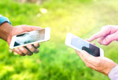 Berbagi File Tanpa Ribet, Manfaat dan Cara Menggunakan Quick Share di Android