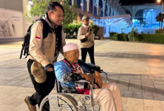 Puluhan Ribu Jemaah Haji Tiba di Tanah Suci, Layanan Ramah Lansia Jadi Prioritas