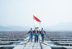 BRI Mantapkan Komitmen Hijau, Green Financing Tembus Rp89,9 Triliun di Awal 2025
