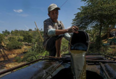 Sumatera Selatan Lumbung Minyak yang Belum Tergarap Maksimal