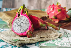 Manfaat Buah Naga untuk Kesehatan dan Kecantikan, Dari Kulit Elastis hingga Jantung Sehat
