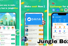 Bergabunglah dengan Jungle Box, Cara Baru Mendapatkan Saldo DANA