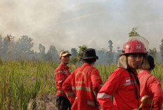 Sumsel Segera Tetapkan Status Siaga Karhutla