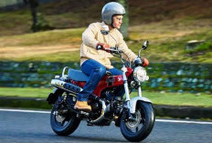 Kelebihan dan Kekurangan Honda ST125 Dax, Motor Retro Stylish dengan Karakter Unik