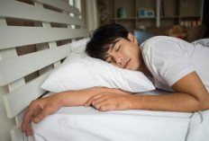 Sudah Makan Langsung Tidur, Benarkah Bisa Berdampak Untuk Kesehatan