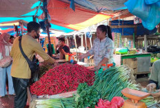 Harga Cabai Turun Bawang Naik 