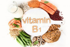 9 Makanan Sumber Vitamin B1 yang Bernutrisi dan Mudah Ditemukan