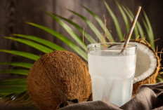 4 Manfaat Minum Air Kelapa Setiap Hari, Bisa Bantu Turunkan Gula Darah