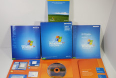 Sejarah Pembajakan Windows XP : Ternyata Dimulai dari Dalam Microsoft Sendiri