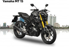 Ini Spesifikasi Yamaha MT 15, Motor Naked Bike Agresif Jadi Favorit Anak Muda
