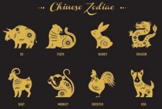 Ramalan Shio Naga, Shio Kelinci, Shio Ular, Shio Kambing, Shio Macan Hari Ini