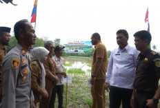 Antisipasi El Nino 2026, Prabumulih Perkuat Ketahanan Pangan Lewat Gerakan Tanam Padi