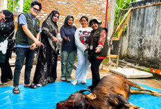 Pemkot Prabumulih Sebar Tim Pemeriksa Hewan Kurban, Pastikan Daging Aman dan Layak Konsumsi