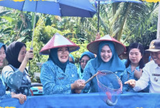 Lomba PKK dan UP2K 2025 tingkat Kota, Enam Kecamatan di Prabumulih Adu Inovasi 