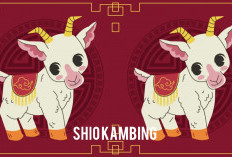 Ramalan Shio Kambing Hari Ini: Cinta Semakin Dekat, Keberuntungan Ikut Mengiringi