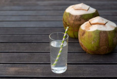 4 Alasan Mengapa Air Kelapa Baik Dikonsumsi Setiap Hari