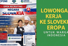 Peluang Kerja di Eropa! Rekrutmen Tenaga Kerja Indonesia ke Slovakia Resmi Dibuka