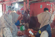 Petugas Kesmavet Periksa Daging Sapi dan Ayam Jelang Lebaran, Ini Ciri-Ciri Daging yang Aman Dikonsumsi