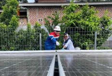 Energi Matahari Ubah Nasib Desa Sukakarya: Dari Dapur Kue Ibu-Ibu KWT hingga Terang untuk Masa Depan Anak