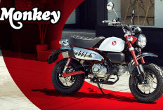 Gaya Klasik dengan Perlindungan Maksimal, Kupas Tuntas Fitur Keamanan Honda Monkey