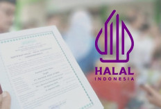 Sertifikasi Halal Wajib Berlaku Oktober 2026, BPJPH Siapkan Fasilitasi Gratis untuk Jutaan UMKM