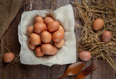 Telur, Superfood Murah yang Bikin Tubuh Lebih Sehat dan Kuat