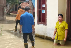 Pemukiman Warga Payuputat Kota Prabumulih Banjir, Aktivitas Berkebun Lumpuh!
