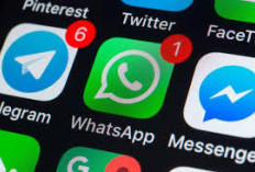 Aplikasi Pengganti WhatsApp Kian Meledak Penggunanya