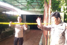 Kebakaran Hebat di Talang Semut, Rumah Kosong Ludes Dilalap Api