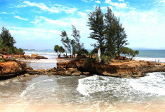 Pesona Pantai Sungai Suci, 