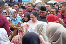 Puan Maharani ke Kampung Halaman di Desa Tanjung Raman