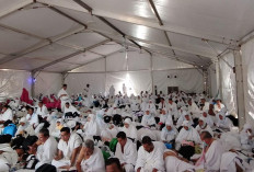 Air Mata Mengalir di Arafah: Jemaah Palembang Larut dalam Doa