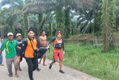 Terpeleset Bocah 8 Tahun Tenggelam di Sungai, Tubuhnya Telah ditemukan