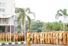 Hari Raya Waisak ASN Prabumulih Libur, Rabu Kembali Ngantor