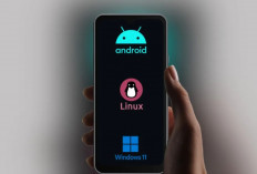 NexPhone Diperkenalkan, Satu Ponsel Jalankan Android, Linux, dan Windows 11