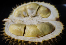 Ini 4 Tips Agar Asam Lambung Tidak Naik Saat Konsumsi Kopi dan Durian