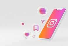 Bingung Beralih dari Akun Bisnis ke Pribadi di Instagram? Ini Langkah-langkahnya
