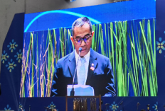 Mendiktisaintek Siapkan Materi Koperasi dan Ekonomi Pancasila sebagai Mata Kuliah Wajib